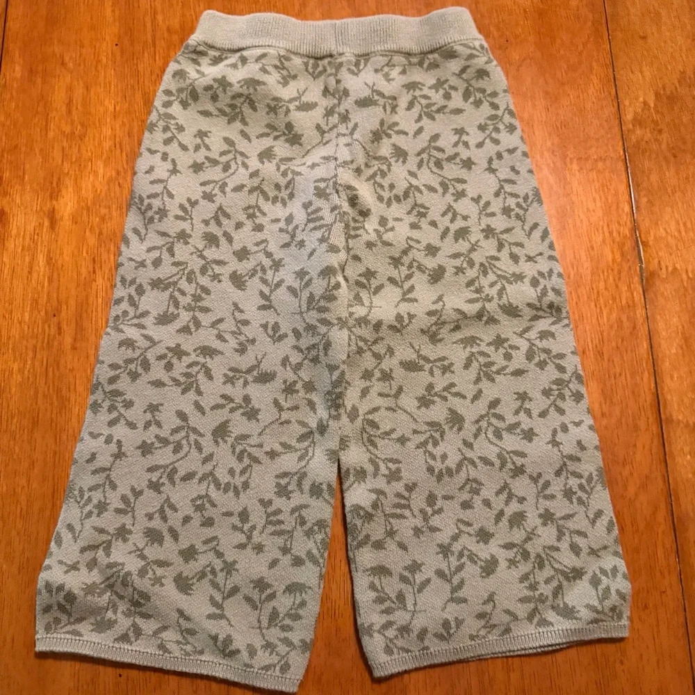 Modern‎ Moments by Gerber Toddler Girls Sage Green Floral Knit Sweater Set 3T